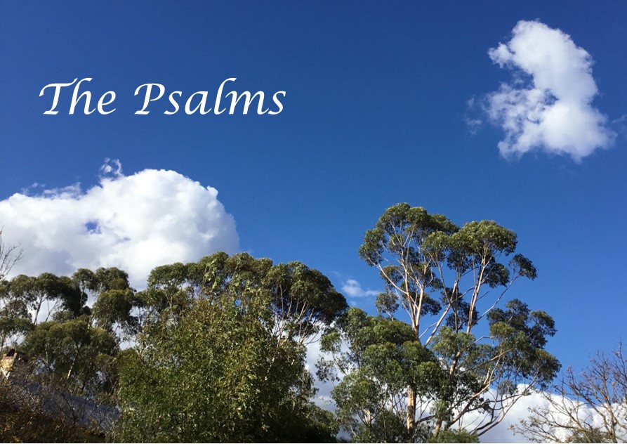 Psalms Series